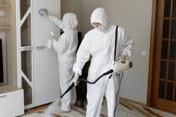 Best Industrial Mold Remediation in Lehi, UT